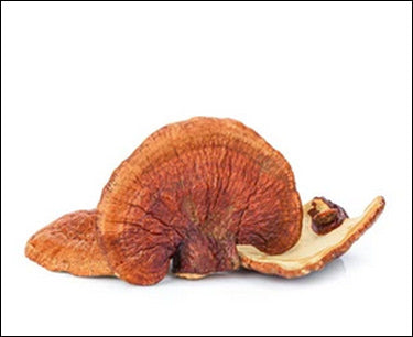 Ingredient Spotlight: Reishi to the Rescue