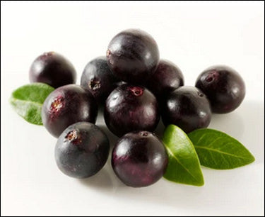 Ingredient Spotlight: Acai Fruit